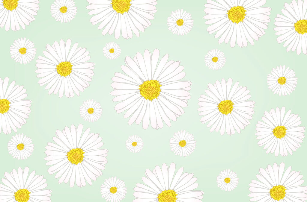 Pattern of white and yellow flowers Pattern of white and yellow flowers