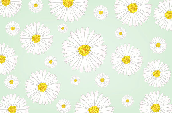 Pattern of white and yellow flowers Pattern of white and yellow flowers