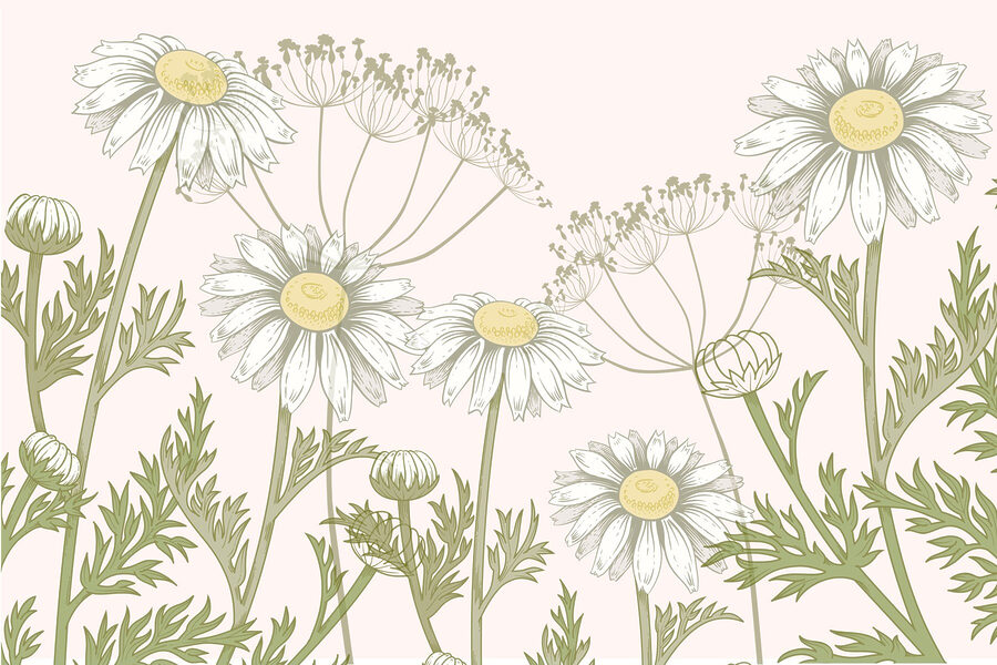 Delicate blooms in soft hues
