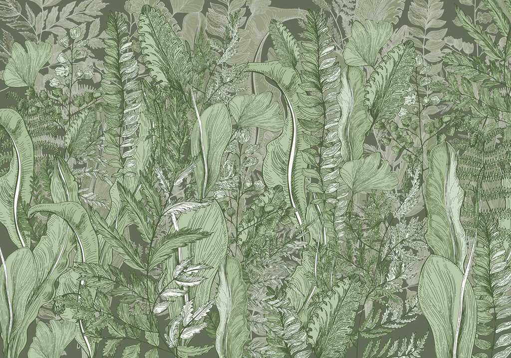 Nature’s harmony in leafy patterns Nature’s harmony in leafy patterns