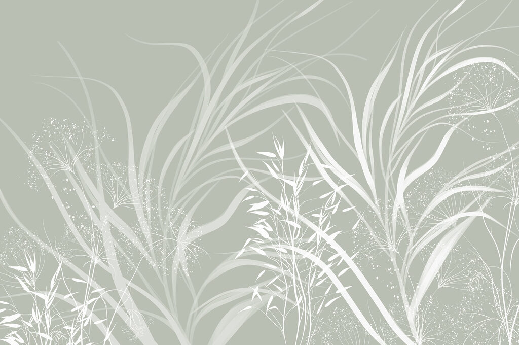 Soft patterns of nature's elegance