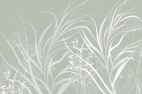 Soft patterns of nature's elegance