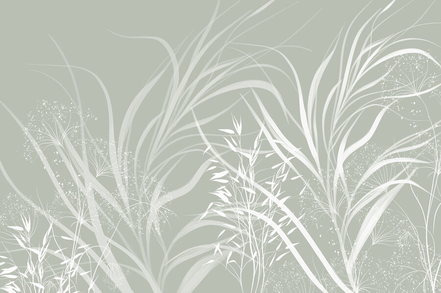 Soft patterns of nature’s elegance.
