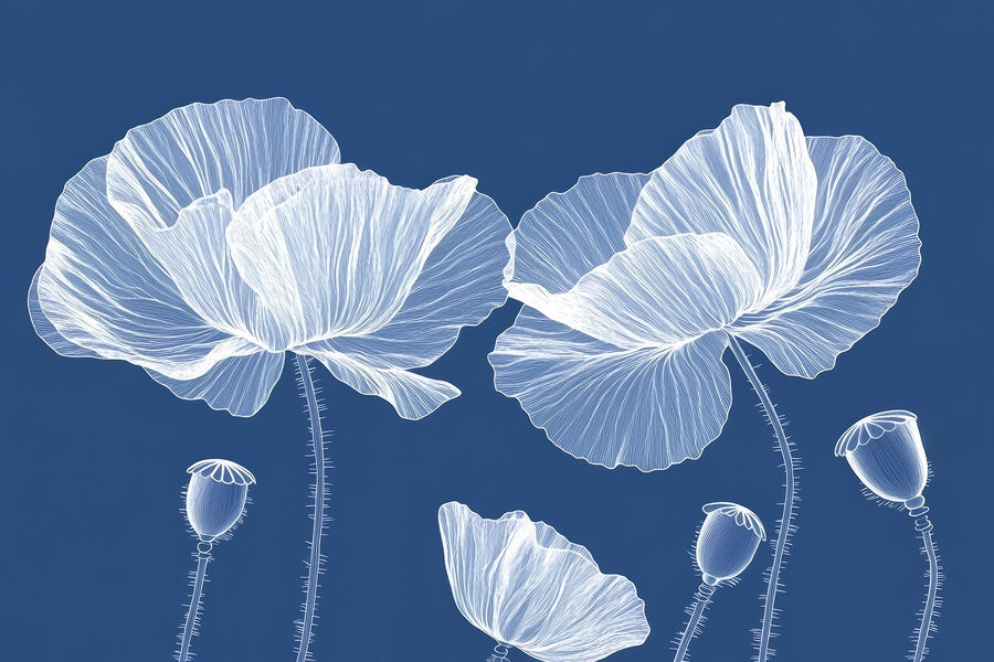 White flowers on a blue background