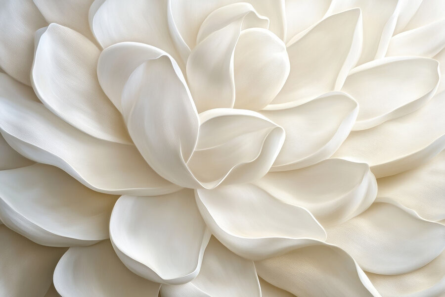 Soft petals in gentle layers.