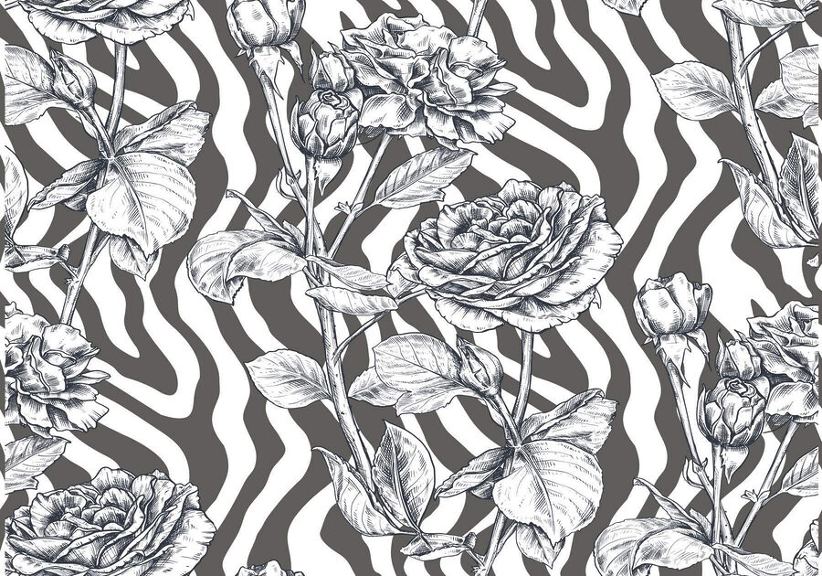 Black and white drawing of roses