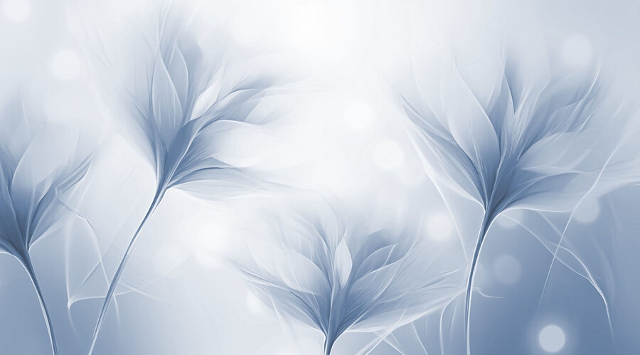 Delicate wisps of ethereal beauty
