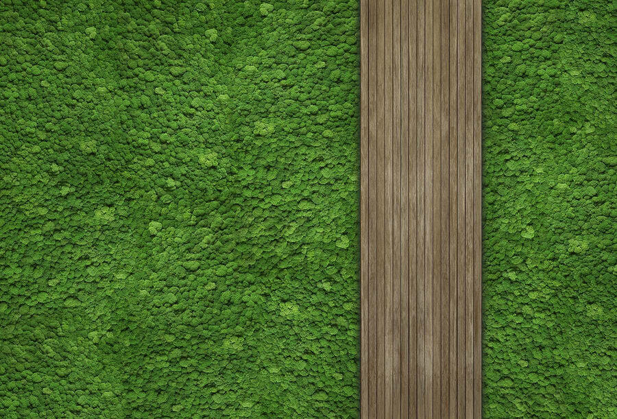 Wood plank on a green wall