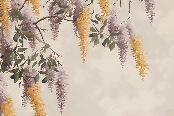 Delicate blooms hanging gracefully down Delicate blooms hanging gracefully down