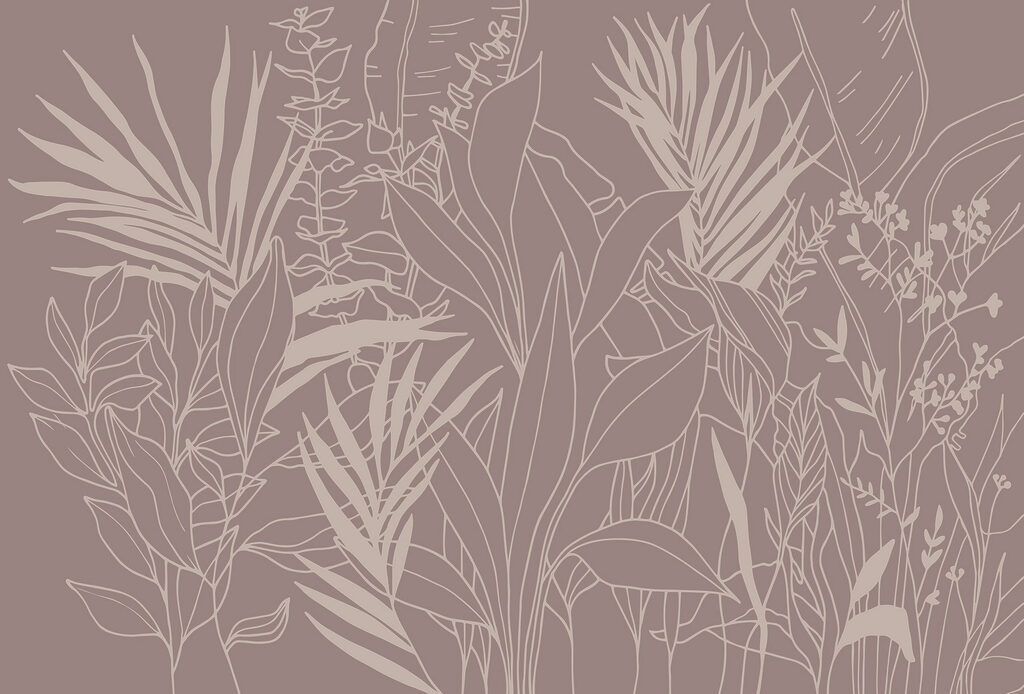 Drawing of plants and leaves Drawing of plants and leaves