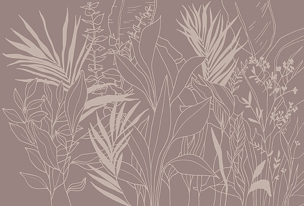 Drawing of plants and leaves Drawing of plants and leaves