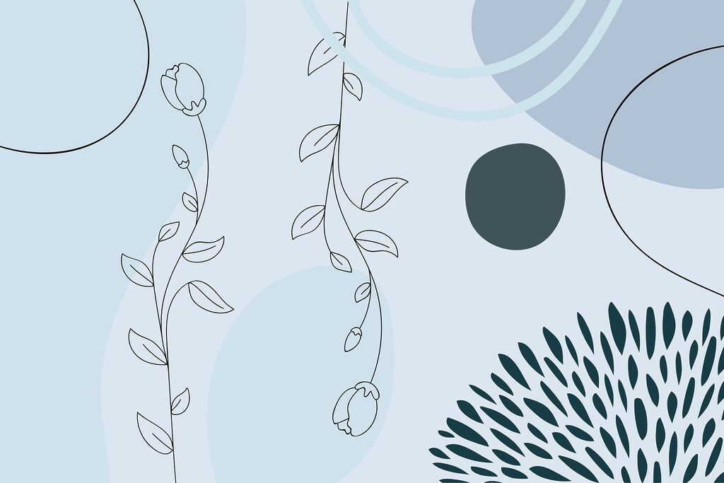 Soft lines and shapes in harmony Soft lines and shapes in harmony