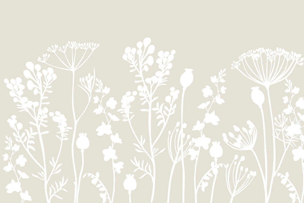 White silhouettes of flowers White silhouettes of flowers