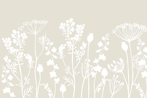 White silhouettes of flowers White silhouettes of flowers