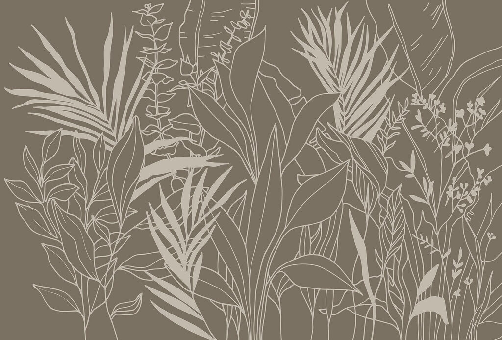 Drawing of plants and leaves Drawing of plants and leaves