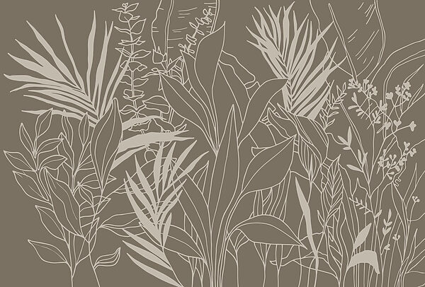 Drawing of plants and leaves Drawing of plants and leaves