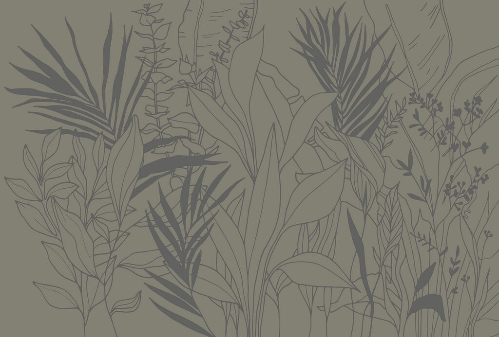 Drawing of plants and leaves Drawing of plants and leaves