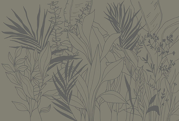Drawing of plants and leaves Drawing of plants and leaves