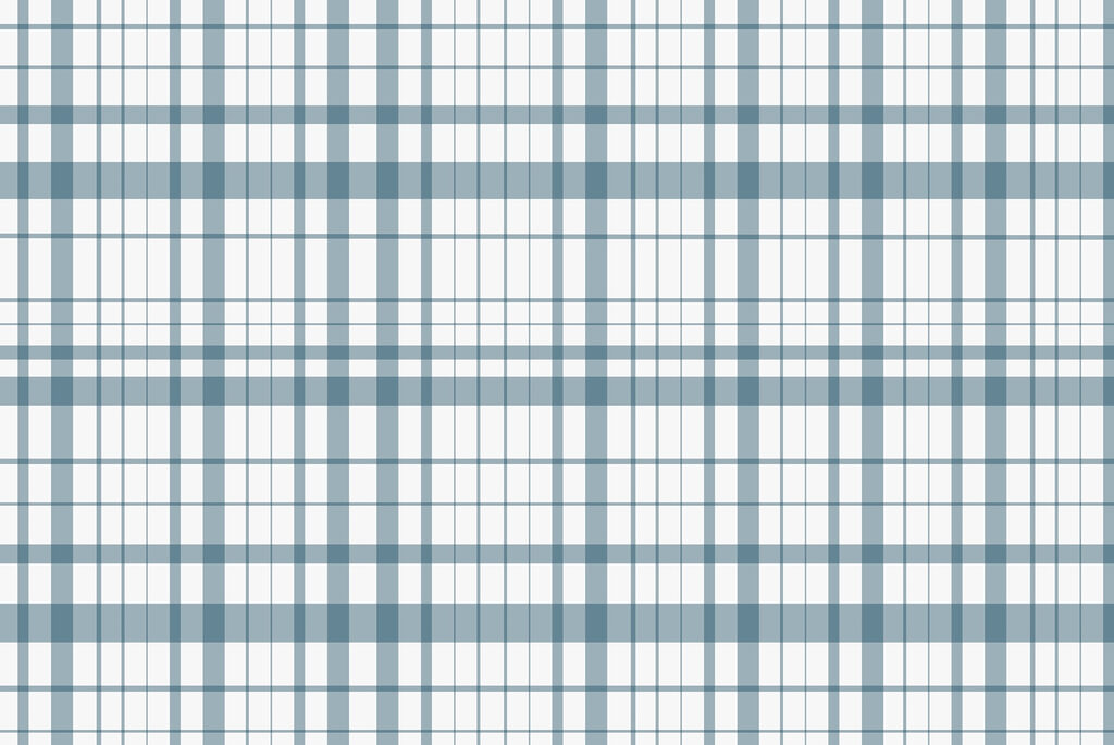 Blue and white plaid Blue and white plaid