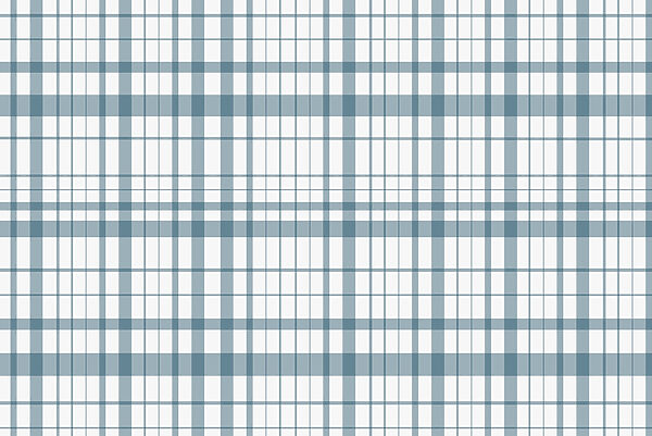 Blue and white plaid Blue and white plaid