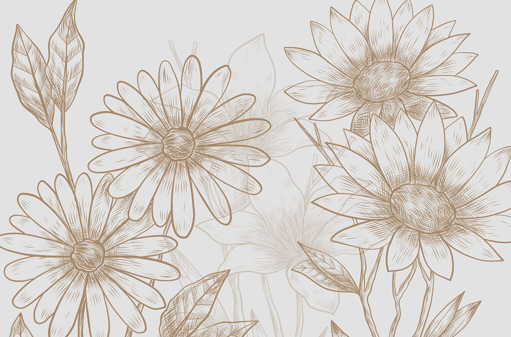 Drawing of flowers on a white background Drawing of flowers on a white background