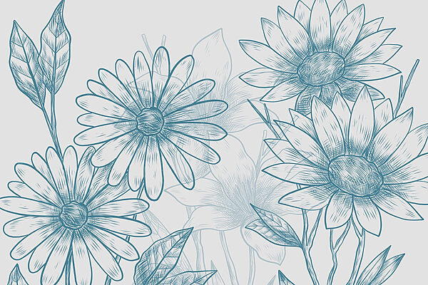 Drawing of flowers and leaves Drawing of flowers and leaves