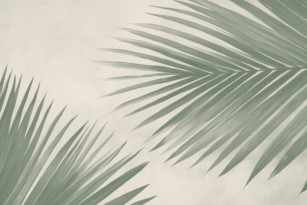 Fresh green palm leaves, nature’s touch Fresh green palm leaves, nature’s touch