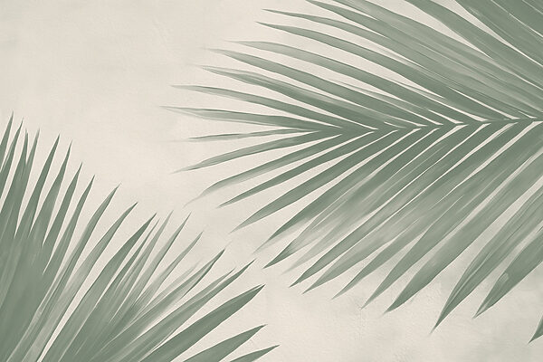 Fresh green palm leaves, nature’s touch Fresh green palm leaves, nature’s touch