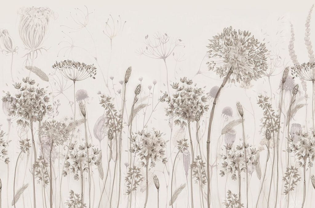 Drawing of flowers and plants w08637p 1024x678 - Drawing of flowers and plants