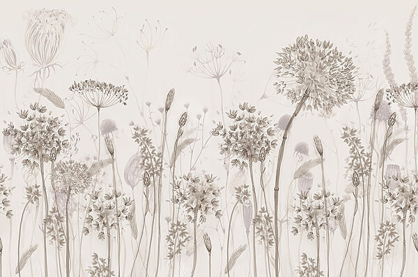 Drawing of flowers and plants w08637p 600x397 - Drawing of flowers and plants