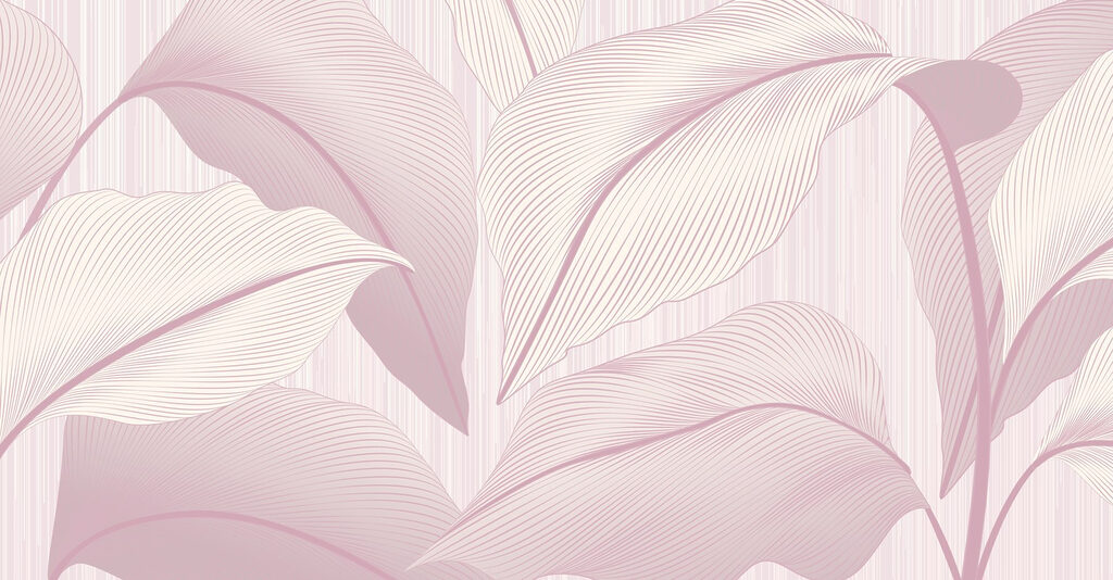 Soft hues of nature’s elegance Soft hues of nature’s elegance