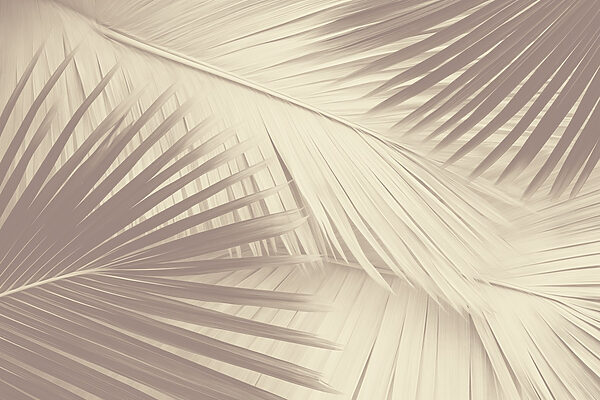 Nature’s texture in soft tones. Nature’s texture in soft tones.