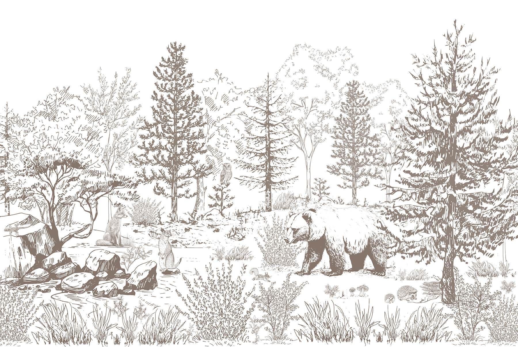 Bear walking in the woods Bear walking in the woods