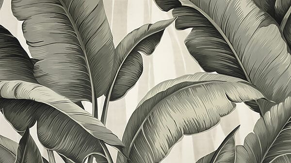 Nature’s intricate leaf patterns explored Nature’s intricate leaf patterns explored