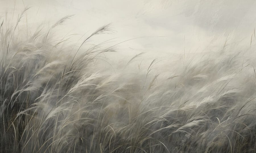 Wall murals Field of grass with white clouds - Image 5