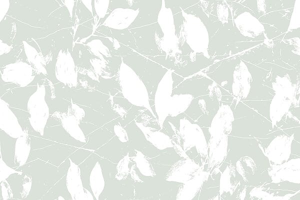 White leaves on a light green background White leaves on a light green background