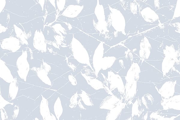 White leaves on a blue background White leaves on a blue background