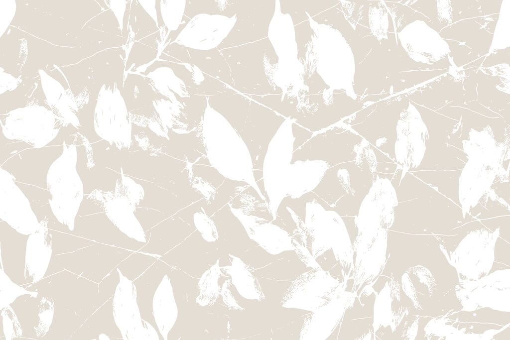 White leaves on a white background White leaves on a white background