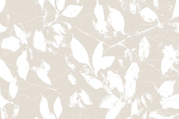 White leaves on a white background White leaves on a white background
