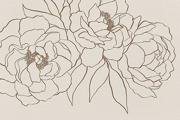 Drawing of flowers on a white surface Drawing of flowers on a white surface