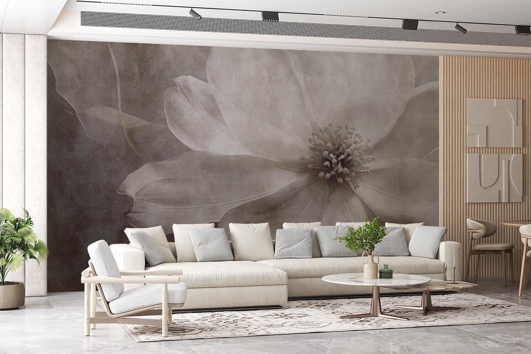 Delicate petals in soft tones Delicate petals in soft tones