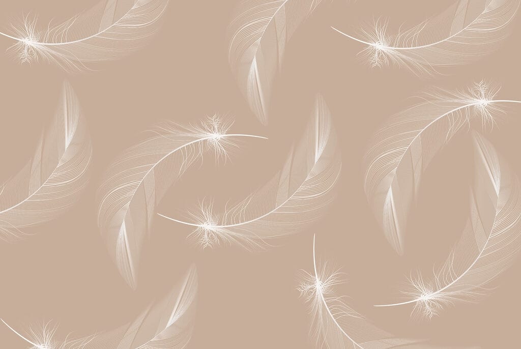 White feathers on a brown background White feathers on a brown background