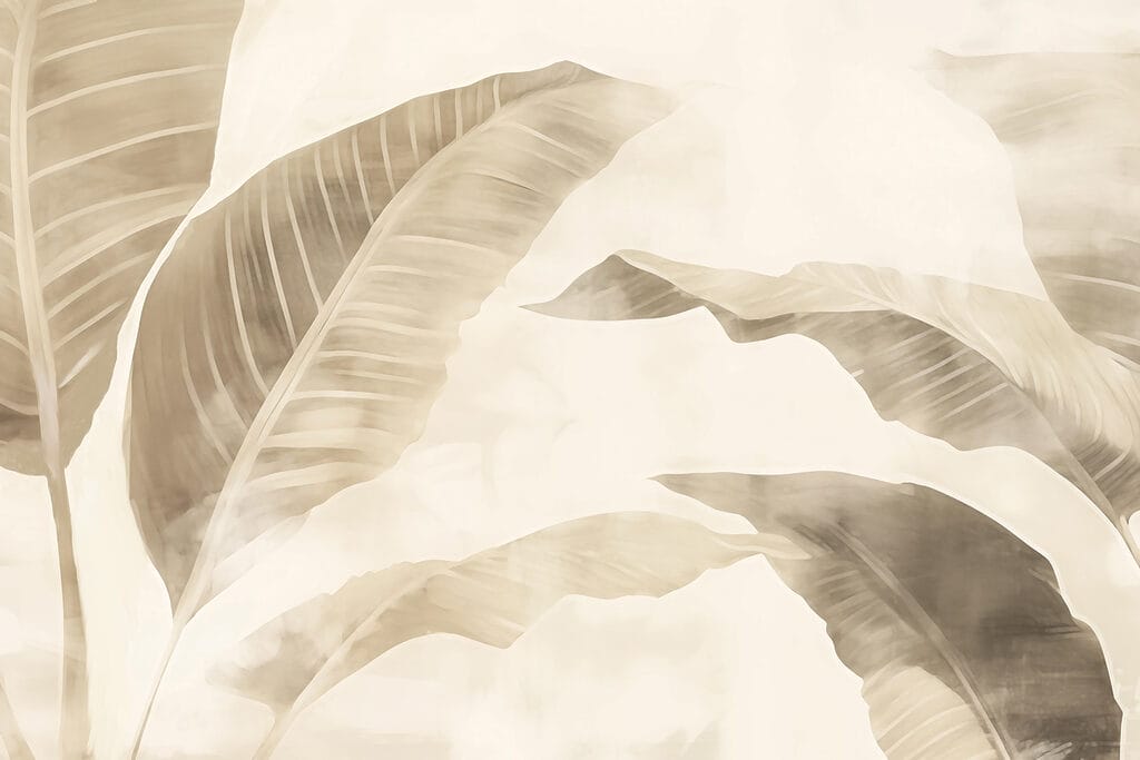 Soft tones of nature’s beauty. Soft tones of nature’s beauty.