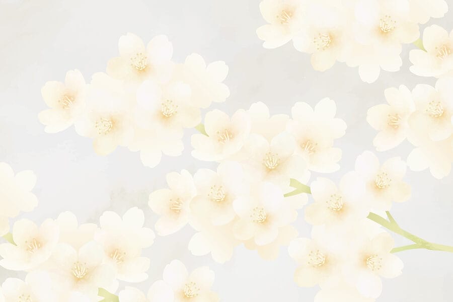 Group of white flowers