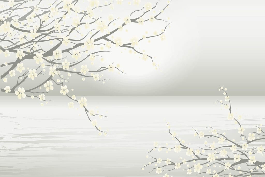 Tree with white flowers Tree with white flowers