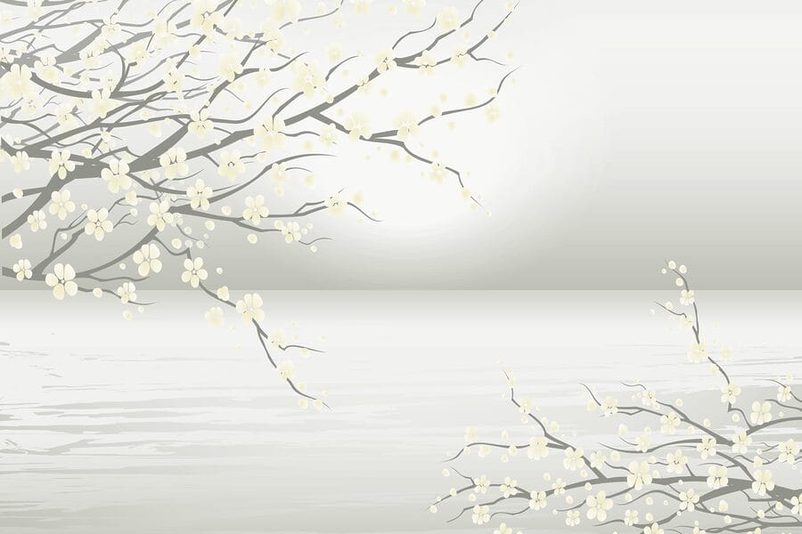 Tree with white flowers