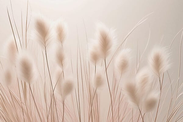Soft textures in gentle light Soft textures in gentle light