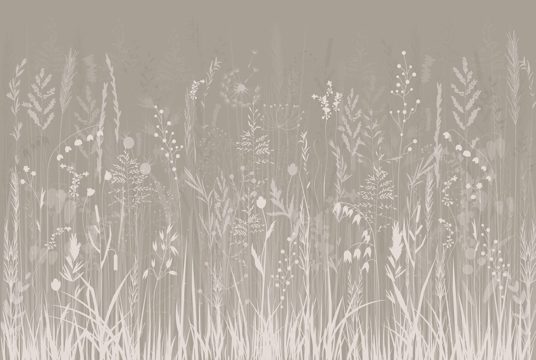 Field of grass and flowers