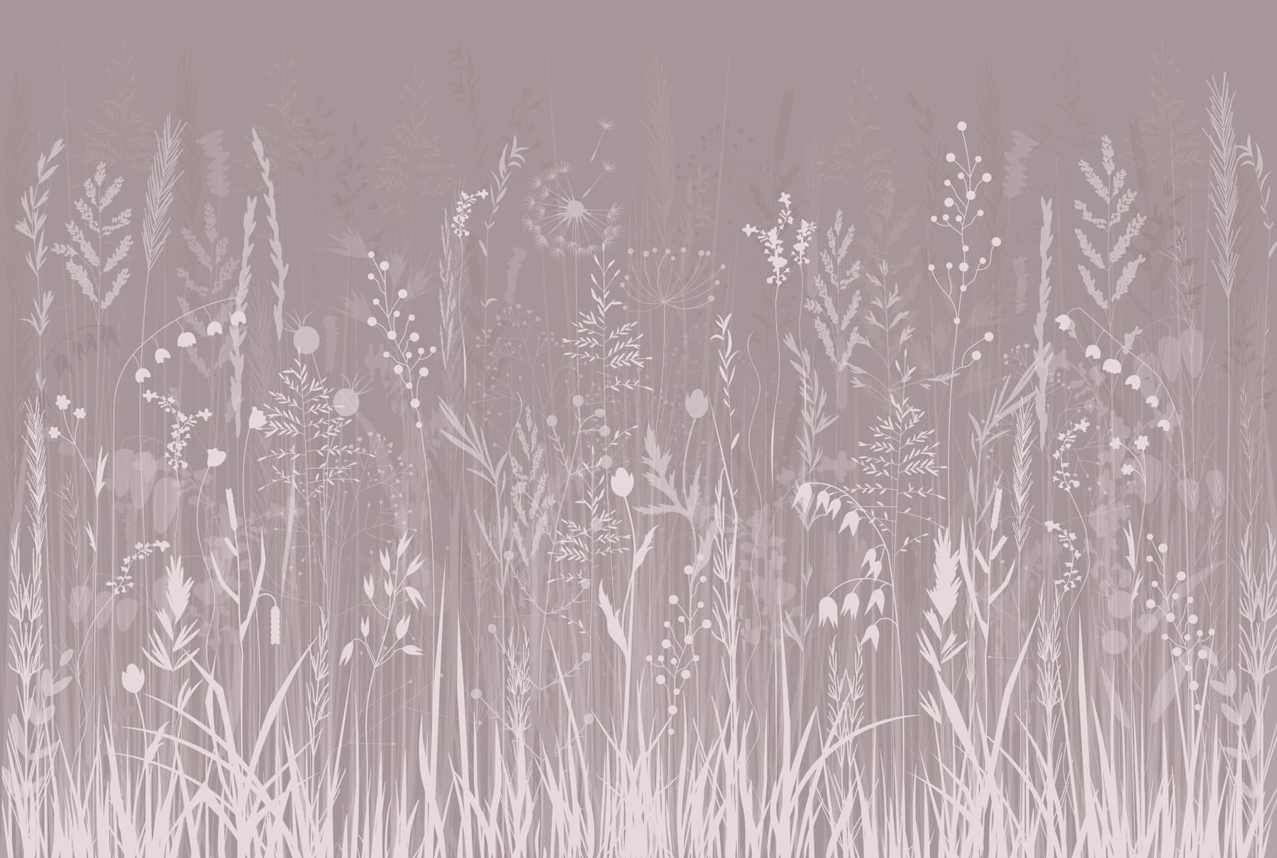 Field of flowers and grass