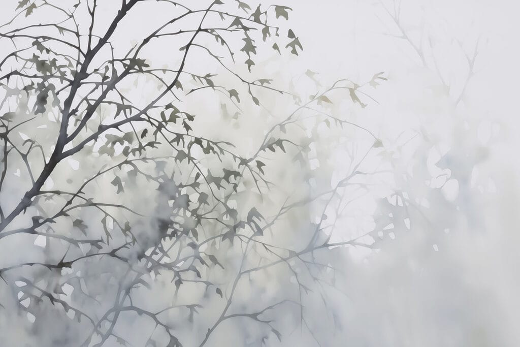 Tree with leaves in fog Tree with leaves in fog
